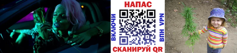 Конопля сатива  darknet состав  Алушта  гидра зеркало 
